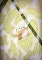 Saikyou no Haramase Kyokashou Konzen Koushou Kinshi no Inaka Musume ni Nama Hame Tanetsukehoudai / 最強の孕ませ許可証 婚前交渉禁止の田舎娘に生ハメ種付け放題 [Original] Thumbnail Page 418