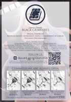 Elvification Drug / エルフ化の薬 [Kanmuri] [Original] Thumbnail Page 35