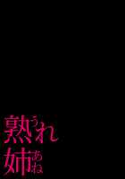 My Mature Older Sister ~The Crazy Convenient Relationship of An Older Sister and Younger Brother In Their 30s / 熟れ姉～30代からの都合が良すぎる姉弟関係～ [Someoka Yusura] [Original] Thumbnail Page 39