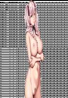 SLEEPLESS Nocturne Page 726 Preview