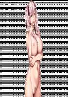 SLEEPLESS Nocturne Page 733 Preview