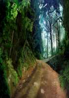 SLEEPLESS Nocturne Page 841 Preview