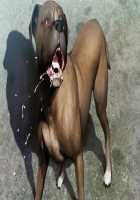 SLEEPLESS Nocturne Page 850 Preview