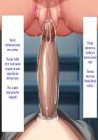 Height of Puberty, Strained Sibling's Flirty Love Child Making Diary. Ch. 1-4 / 思春期真っ盛り、ギスギス兄妹のイチャラブ子作り日記。第1-4話 [Kawahagitei] [Original] Thumbnail Page 97