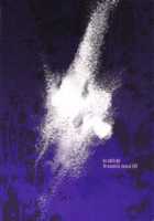 The Way How a Matriarch is Brought Up - Maho's Case, Bottom / 西住流家元の育て方 まほの場合・下 [Toku] [Girls Und Panzer] Thumbnail Page 29