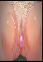 Aisai x Koukan Ninkatsu Swapping ~Haramigoro no Tsuma-tachi wa Kodane o Motome Nikuyoku no Hana o Sakaseru / 愛妻×交姦 妊活スワッピング ～孕み頃の妻たちは子種を求め肉欲の華を咲かせる～ [Un Equals Shokutarou] [Original] Thumbnail Page 21