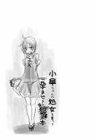 Kogasa-Chan No Shojo O Ubatte Haramase Mata Okasu Hon / 小傘ちゃんの処女を奪って孕ませまた犯す本 [Hakano Shinshi] [Touhou Project] Thumbnail Page 18