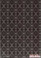 Hakoniwa Yuugi / 匣庭遊戯 [Satonishi] [Ao No Exorcist] Thumbnail Page 46