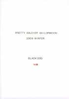 TOWER OF GRAY / TOWER OF GRAY [Kuroinu Juu] [Sailor Moon] Thumbnail Page 50