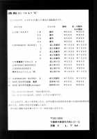 NISE Zelda No Densetsu Shinshou / NISE ゼルダの伝説　真章 [Taira Hajime] [The Legend Of Zelda] Thumbnail Page 28