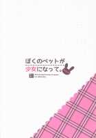 Boku No Pet Ga Shojo Ni Natte. -Rabbit!- / ぼくのペットが少女になって。-Rabbit!- [Sakura Hanpen] [Original] Thumbnail Page 18
