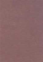 Raindrops [The Melancholy Of Haruhi Suzumiya] Thumbnail Page 18