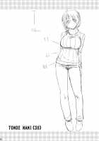 Tomoe Mami / 巴マミ [Hijiri Tsukasa] [Puella Magi Madoka Magica] Thumbnail Page 27