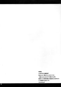 SLR / SLR Page 3 Preview