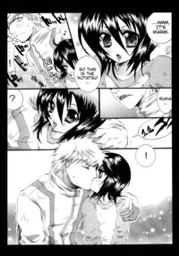 Rukia Kuchiki Minimum Maniax File / るきみに。 Page 22 Preview