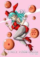 Sow In The Bunny / バニーで雌豚 [Muscleman] [Dragon Ball] Thumbnail Page 34