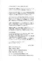 Admired Beautiful Flower Vol.1 [Yukiyoshi Mamizu] [Princess Lover!] Thumbnail Page 25