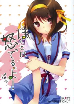 I Really Am Angry! Idiot... [The Melancholy Of Haruhi Suzumiya]