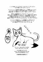 Minako No Ikenai Natsu / 美奈子のいけない夏 [Saki Chisuzu] [Sailor Moon] Thumbnail Page 25