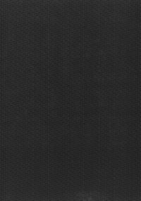 THE LAW OF THE PRISONER / 捕虜の掟 Page 174 Preview