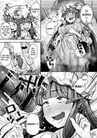 Ana to Muttsuri Dosukebe Daitoshokan 4 / 穴とむっつりどすけべだいとしょかん 4 [Flanvia] [Touhou Project] Thumbnail Page 15