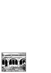 Seiinbo Birgitta - Holy lewd mother Birgitta / 聖淫母ビルギッタ Page 47 Preview