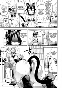 Turn Calamity Into A Cat / 災い転じて猫となる Page 7 Preview